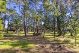 1407 Viscaino Rd - Photo 8