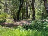 17000 Bear Creek Rd - Photo 21