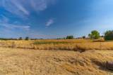 2280 Grapevine Gulch Rd - Photo 8