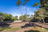 3118 Bird Rock Rd - Photo 4