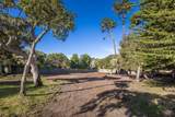 3118 Bird Rock Rd - Photo 5