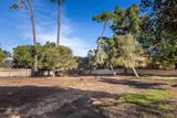 3118 Bird Rock Rd - Photo 6