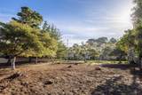 3118 Bird Rock Rd - Photo 7