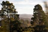 34 Tehama (Lot 29) - Photo 11