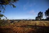 34 Tehama (Lot 29) - Photo 12