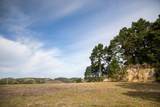 34 Tehama (Lot 29) - Photo 9