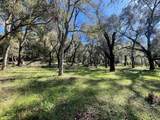 10 Garzas Trl - Photo 8
