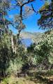 0 Chesbro Lake Dr - Photo 3