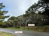 037022250 Carlos - Photo 1