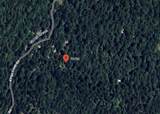 19750 Kings Creek Rd - Photo 2
