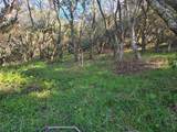 0 Paradise Rd - Photo 11