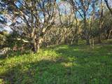 0 Paradise Rd - Photo 12