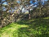 0 Paradise Rd - Photo 14