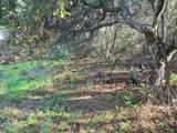 0 Paradise Rd - Photo 15