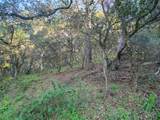 0 Paradise Rd - Photo 22