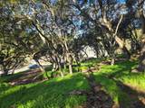 0 Paradise Rd - Photo 3