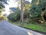 559 Patrol Rd - Photo 8