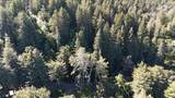 559 Patrol Rd - Photo 9