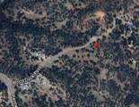 0 Wood Duck Pass Rd - Photo 22