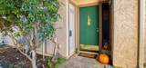 152 Torrey Pine Ter - Photo 11