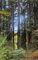 21578 Alma Ct - Photo 6