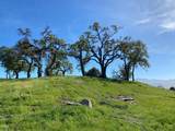 35180 Sky Ranch Rd - Photo 11