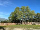 35180 Sky Ranch Rd - Photo 12