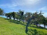 35180 Sky Ranch Rd - Photo 14