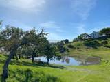 35180 Sky Ranch Rd - Photo 15
