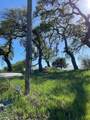 35180 Sky Ranch Rd - Photo 9
