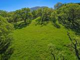 17556 Chesbro Lake Dr - Photo 2