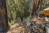 0 Forest Way - Photo 13