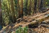 0 Forest Way - Photo 14