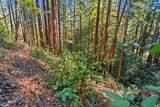 0 Forest Way - Photo 17