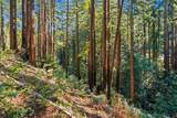 0 Forest Way - Photo 18