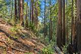 0 Forest Way - Photo 19