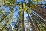 0 Forest Way - Photo 23