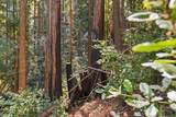 0 Forest Way - Photo 24