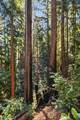 0 Forest Way - Photo 25