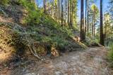 0 Forest Way - Photo 4