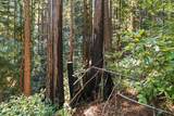 0 Forest Way - Photo 6