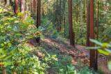 0 Forest Way - Photo 7