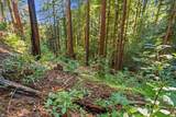 0 Forest Way - Photo 8
