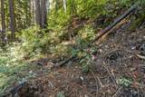 0 Forest Way - Photo 9