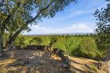 15400 Madrone Hill Rd - Photo 9