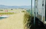 50850 Martinez Rd - Photo 13
