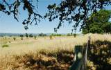 50850 Martinez Rd - Photo 26