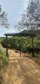 0 O Uvas Road - Photo 2