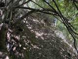 790040 Croy Rd - Photo 17