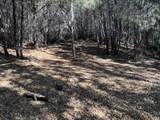 790040 Croy Rd - Photo 33